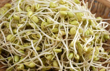 Beneficios y aplicaciones de la lecitina de soja