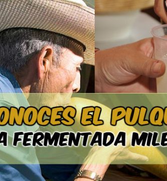 beneficios de beber pulque